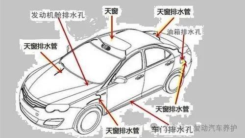 最近天气多变台风频发汽车养护要跟上(图2)