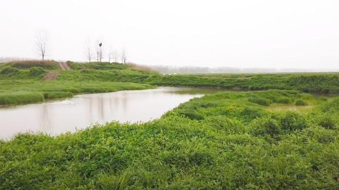 将车子开进无边草原武汉郊区这座天然越野基地全速驰骋更自由(图1)